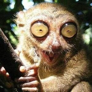 Meet your Posher, Mario